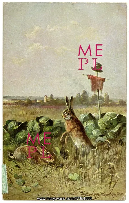 : Two hares in a field of cabbage : Two hares in a field of cabbage