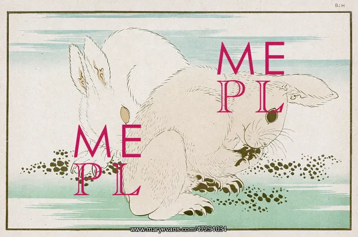  : HARES (HOKUSAI)