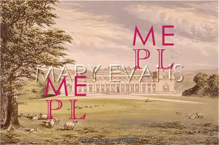  : HAREWOOD HOUSE / 1879
