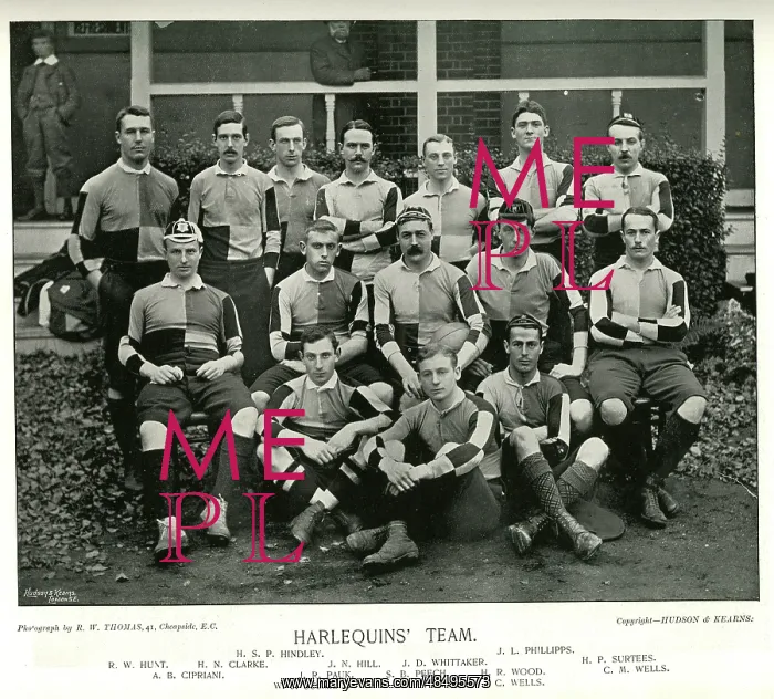 : Harlequins Rugby Team : Harlequins Rugby Team