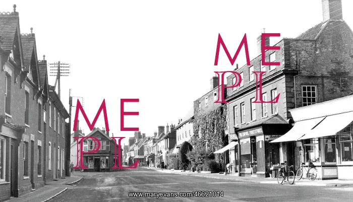  : Harleston, the Thoroughfare c1955