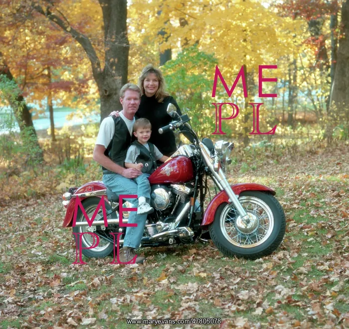 : Harley Davidson, customised motorcycle : Harley Davidson, customised motorcycle