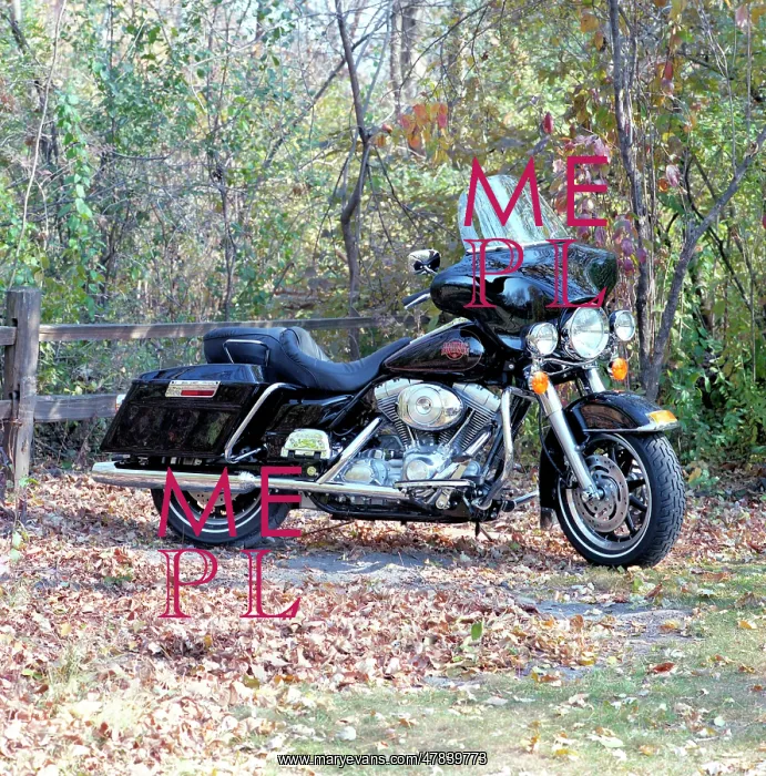 : Harley Davidson motorcycle : Harley Davidson motorcycle