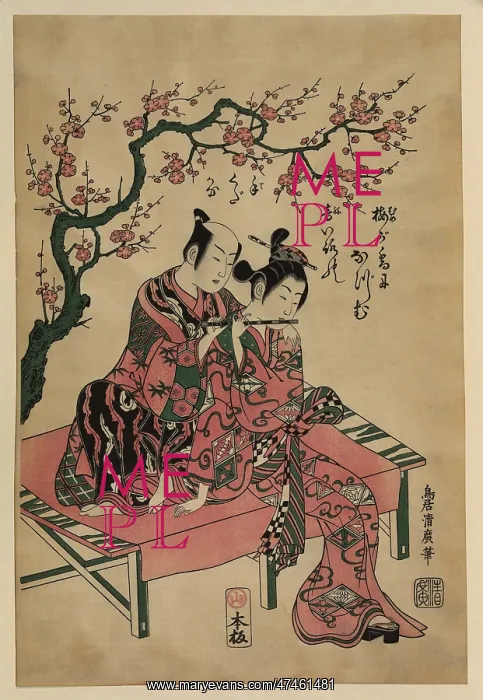 : The harmonic couple : The harmonic couple