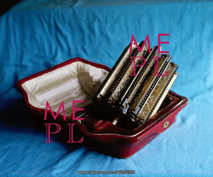 : Harmonica. Wenders twelvefold harmonica : Harmonica. Wenders twelvefold harmonica