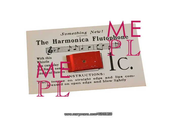 : Harmonica Flutophone and instructions : Harmonica Flutophone and instructions