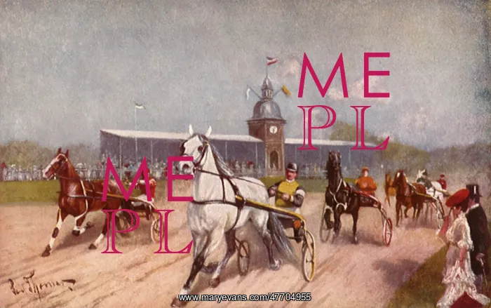  : Harness Race