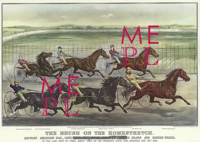  : Six Harness Racers
