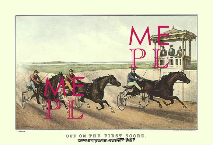  : Three Harness Racers