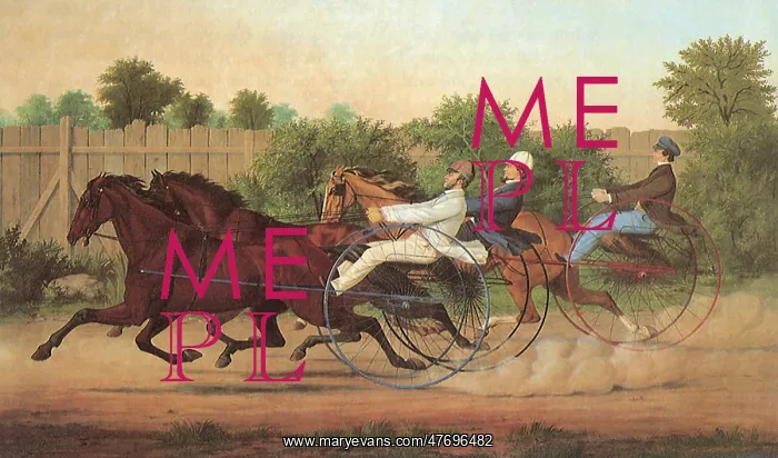  : Harness Racing