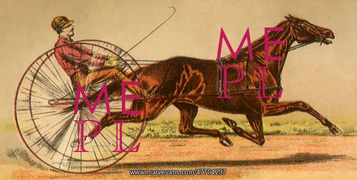  : Harness Racing