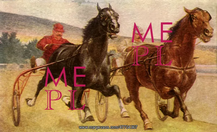  : Harness Racing