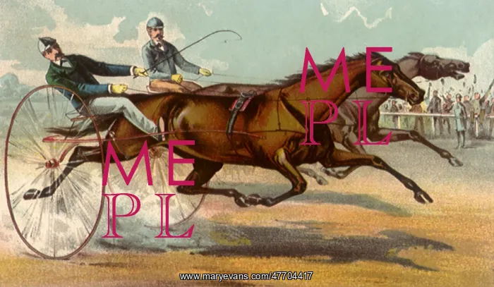  : Harness Racing