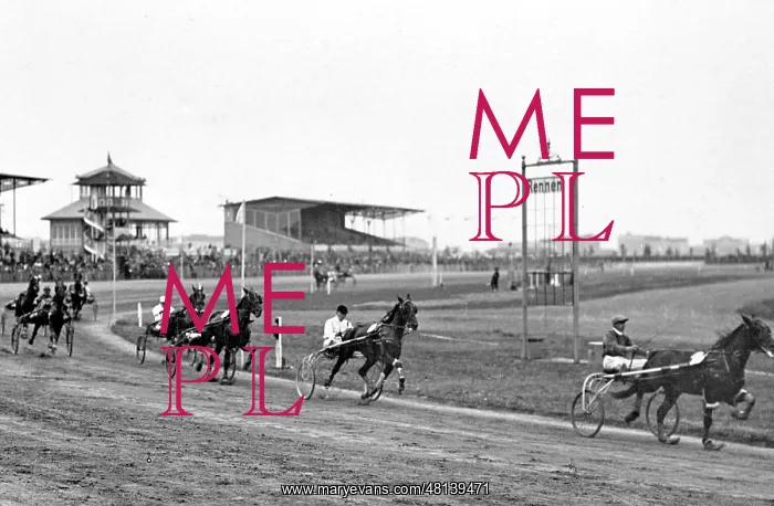 : Harness racing in Mariendorf, 1915 : Harness racing in Mariendorf, 1915