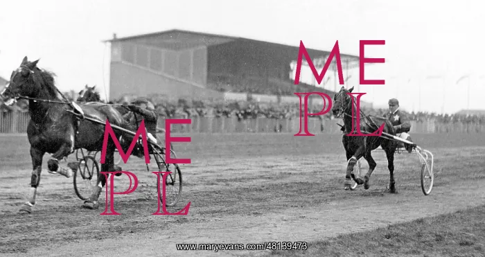 : Harness racing in Mariendorf, 1916 : Harness racing in Mariendorf, 1916
