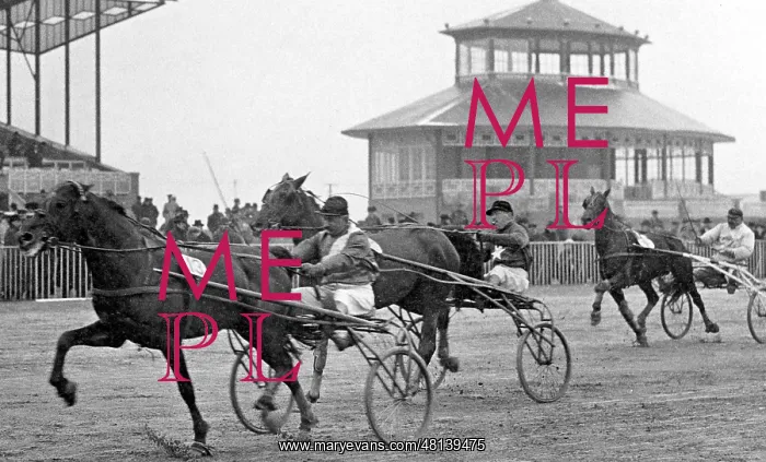 : Harness racing in Mariendorf, 1916 : Harness racing in Mariendorf, 1916