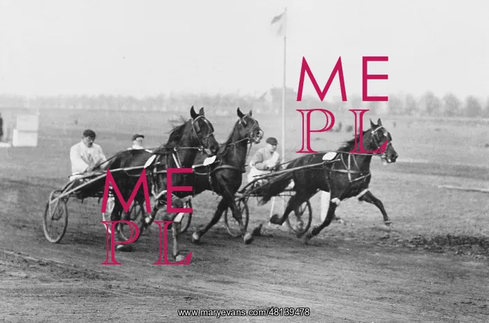 : Harness racing in Mariendorf, 1917 : Harness racing in Mariendorf, 1917