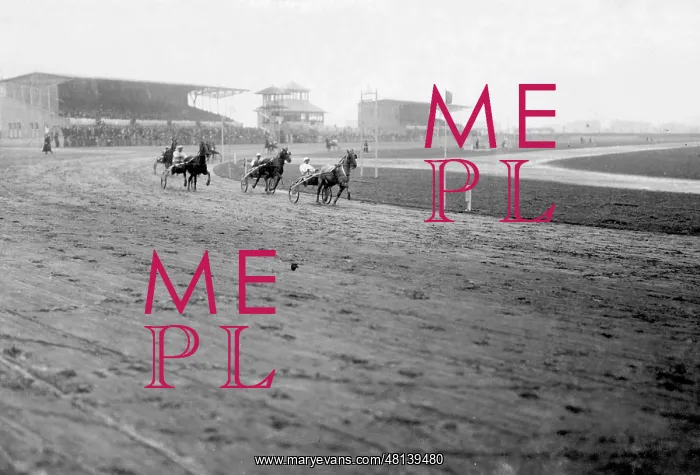 : Harness racing in Mariendorf, 1917 : Harness racing in Mariendorf, 1917