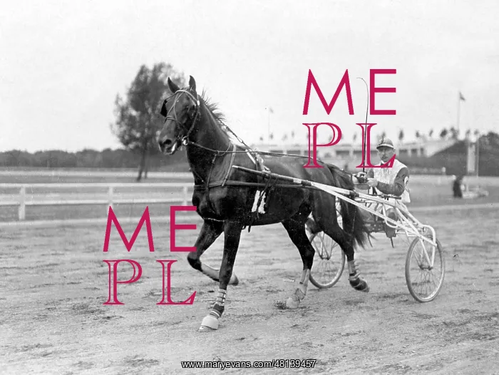  : Harness racing in Ruhleben, 1910