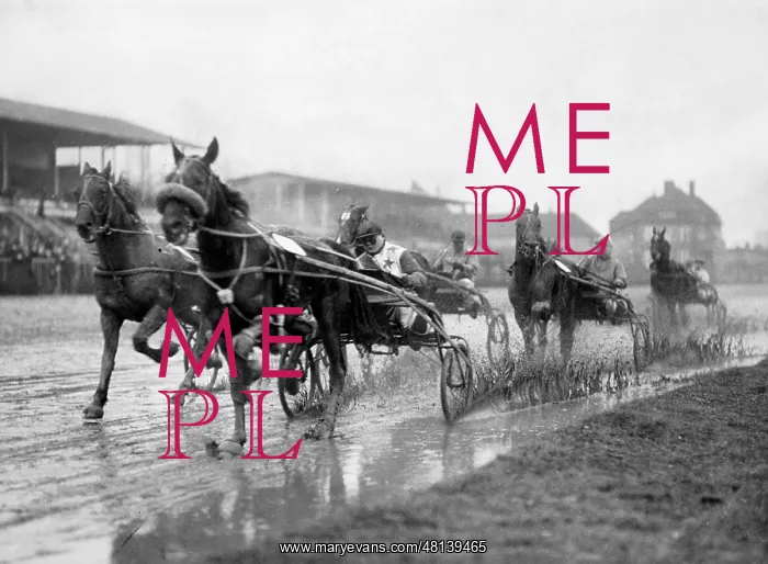 : Harness racing in Ruhleben, 1934 : Harness racing in Ruhleben, 1934