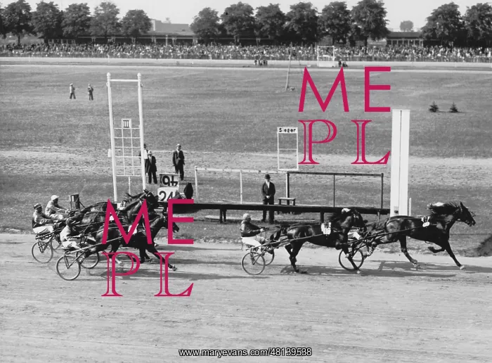 : Harness racing track in Ruhleben, 1932 : Harness racing track in Ruhleben, 1932