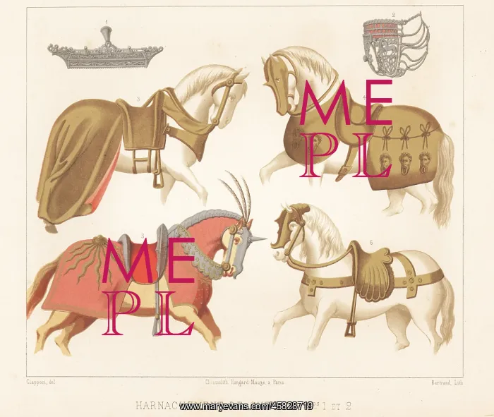 : Harnesses and caparisons for horses, 15th and 16th century : Harnesses and caparisons for horses, 15th and 16th century