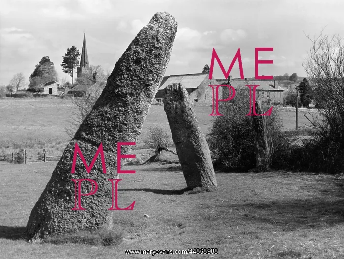 : HAROLD'S STONE ROW : HAROLD'S STONE ROW