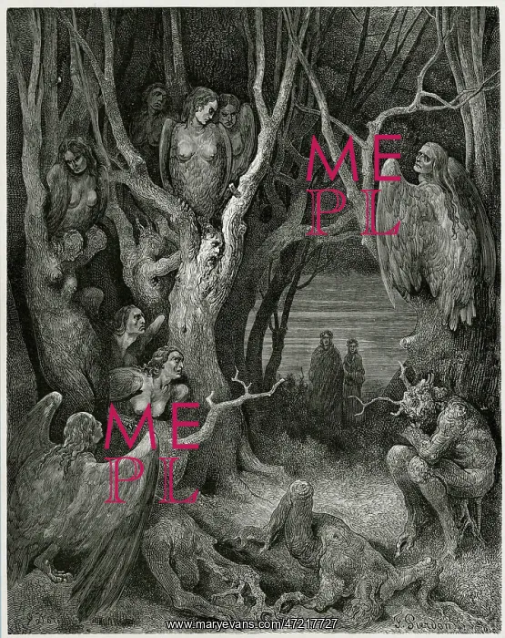 : HARPIES / DORE : HARPIES / DORE