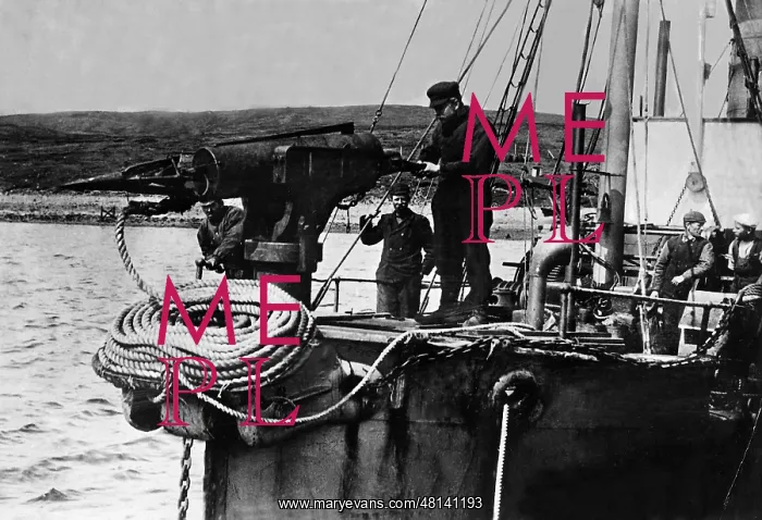 : Harpoon gun on a whaling ship, 1929 : Harpoon gun on a whaling ship, 1929