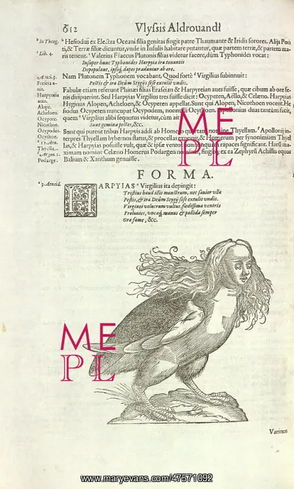 : Harpy from Aldrovandi's Opera : Harpy from Aldrovandi's Opera