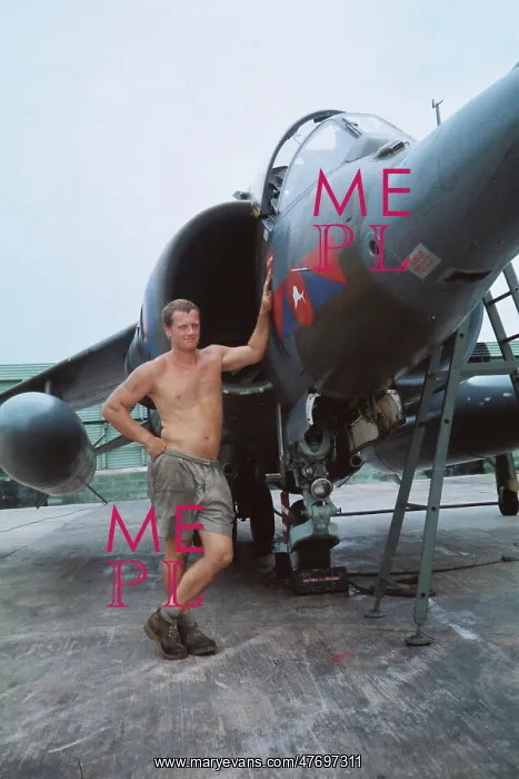 : Harrier at Belize : Harrier at Belize