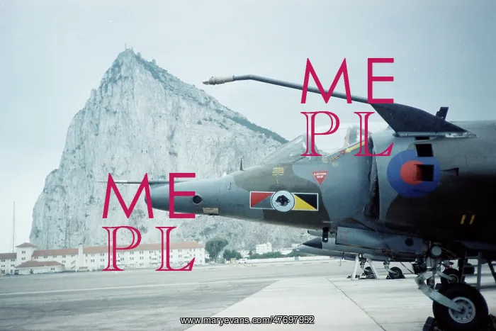 : Harrier at Gibraltar : Harrier at Gibraltar