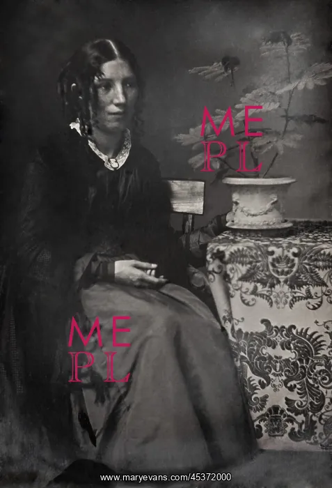 : Harriet Beecher Stowe in the 1850s, the decade : Harriet Beecher Stowe in the 1850s, the decade