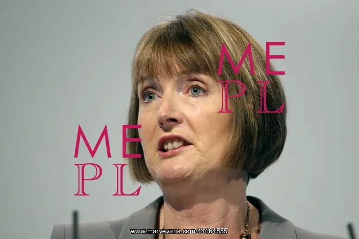 : Harriet Harman MP : Harriet Harman MP