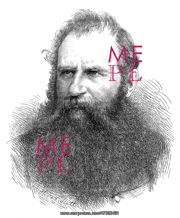 : HARRISON WEIR : HARRISON WEIR