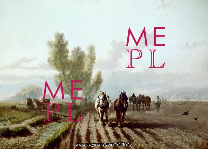 : Harrowing ' farming scene with horses : Harrowing ' farming scene with horses