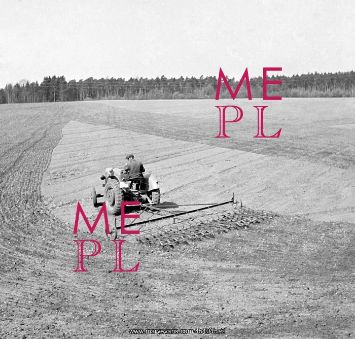 : Harrowing field : Harrowing field