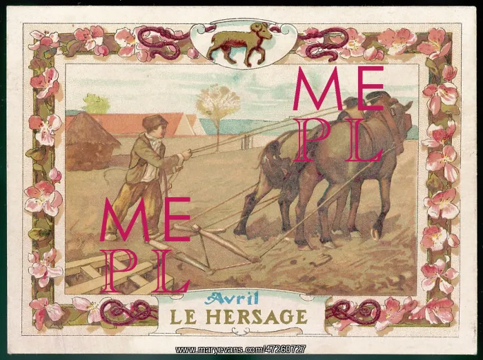  : HARROWING, FRANCE