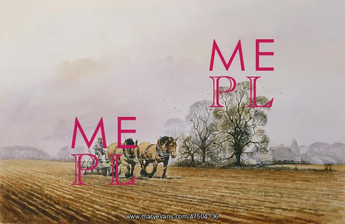 : Harrowing the Ploughland : Harrowing the Ploughland