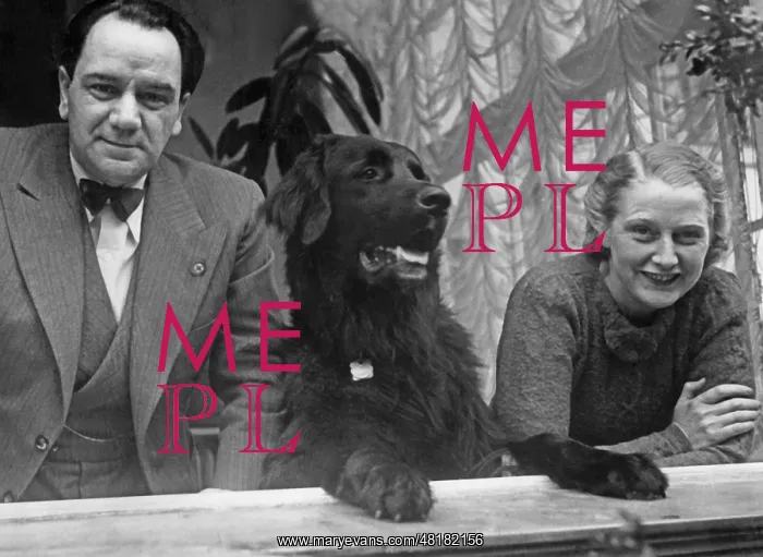: Harry Piel : Harry Piel