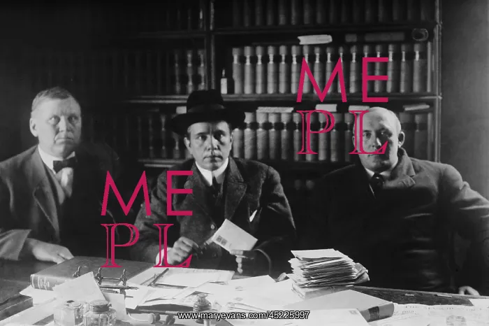 : Harry Thaw (1871-1947), was allowed privileges ? : Harry Thaw (1871-1947), was allowed privileges ?