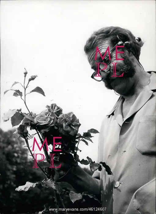 : Harry Wheatcroft, Rose King : Harry Wheatcroft, Rose King