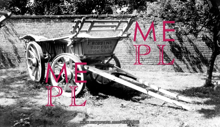  : Hartlebury, Wagon, Worcester County Museum c1965