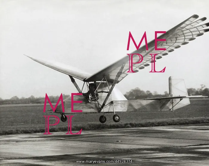 : Hartman Ornithopter : Hartman Ornithopter