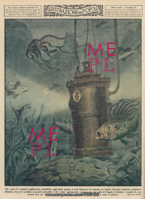 : HARTMANN'S DIVING BELL : HARTMANN'S DIVING BELL