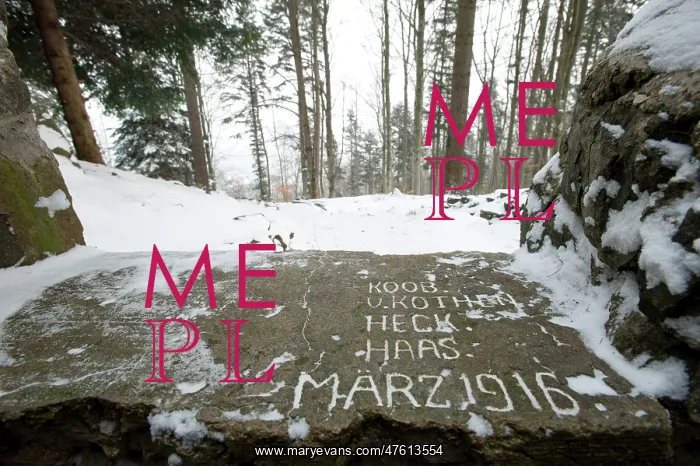 : Hartmannswillerkopf : Hartmannswillerkopf