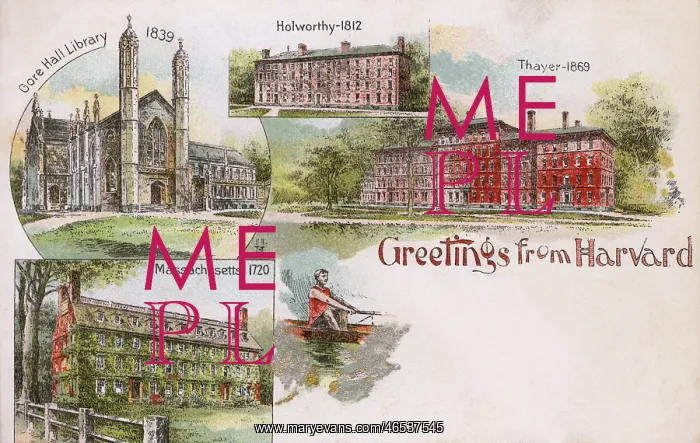  : Harvard University, Massachusetts, USA - Greetings Postcard