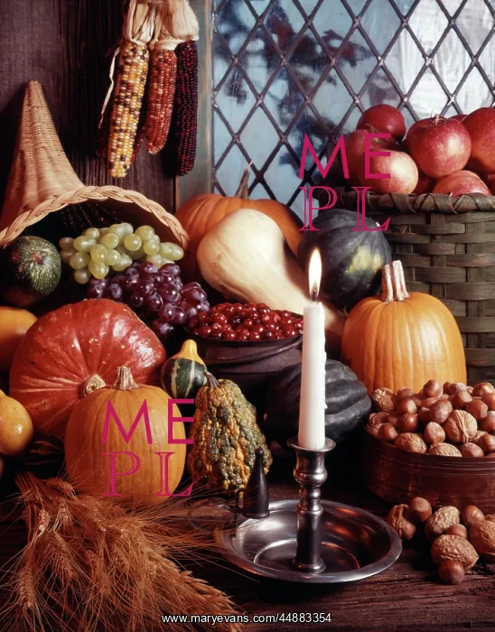  : Harvast Still Life