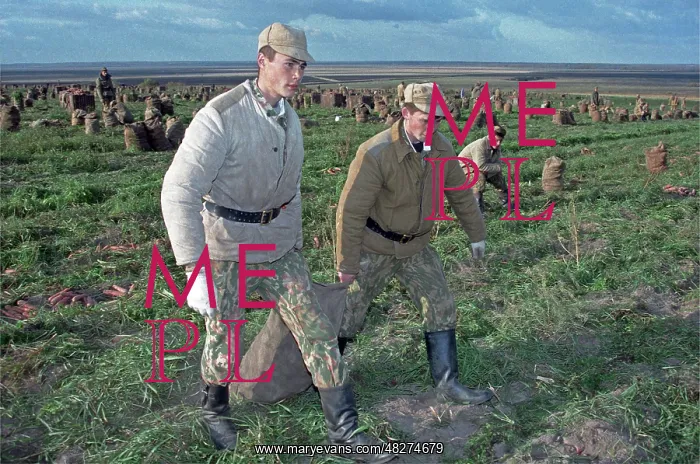 : Harvest, 1995 : Harvest, 1995