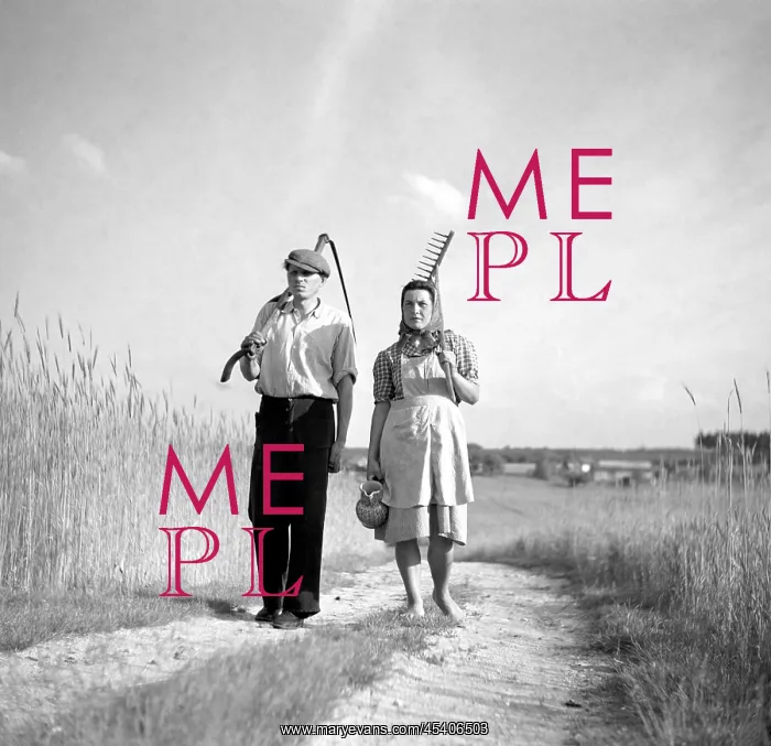 : Harvest. Czechoslovakia - Malovice 1950. Farming couple walking from wheat harvest : Harvest. Czechoslovakia - Malovice 1950. Farming couple walking from wheat harvest